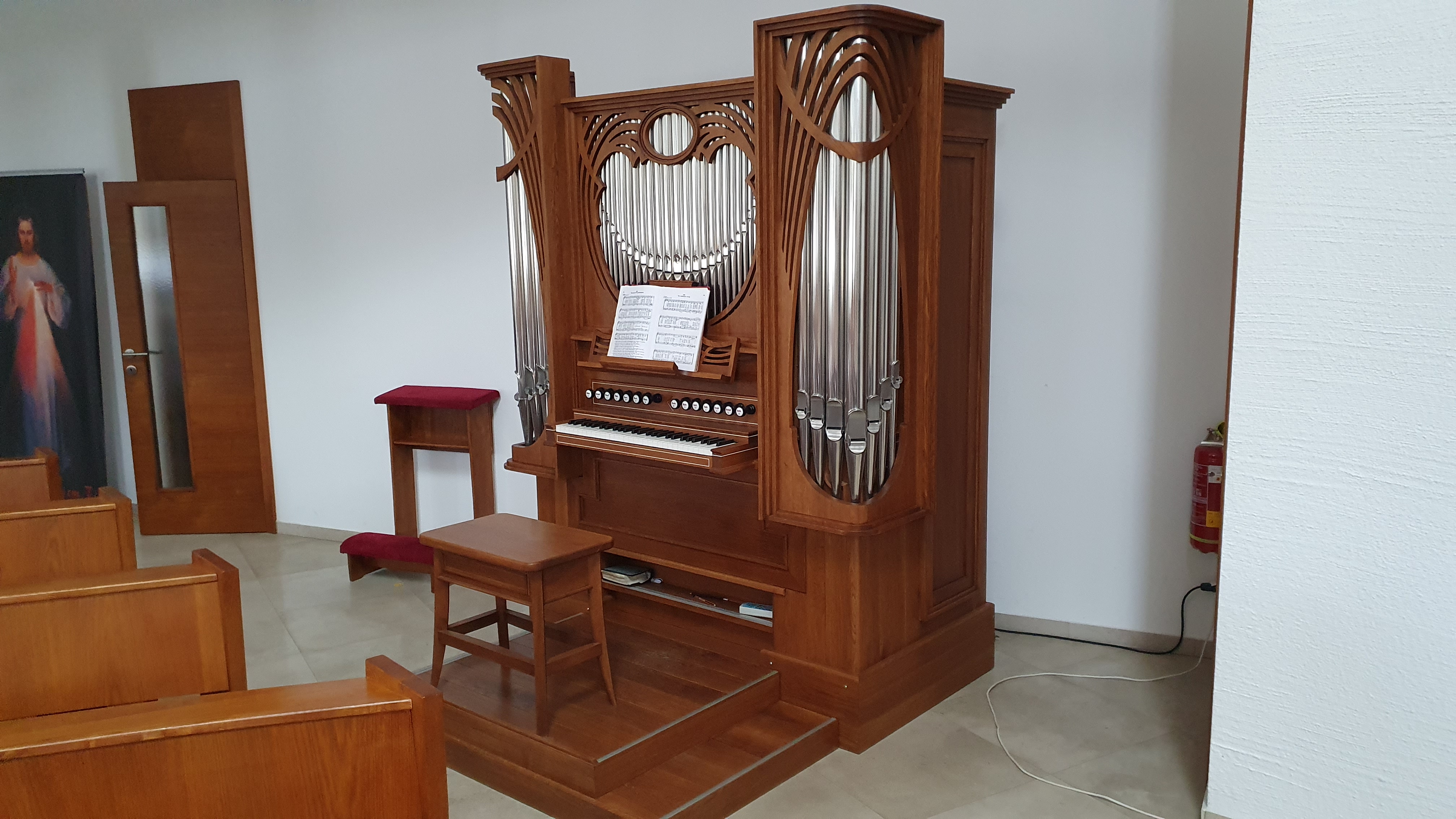 foto organ 2